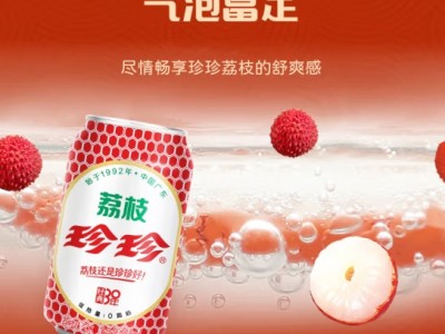 珍珍荔枝味汽水 果味碳酸饮料330ml*